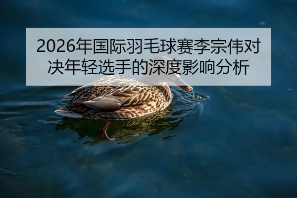 2026年国际羽毛球赛李宗伟对决年轻选手的深度影响分析