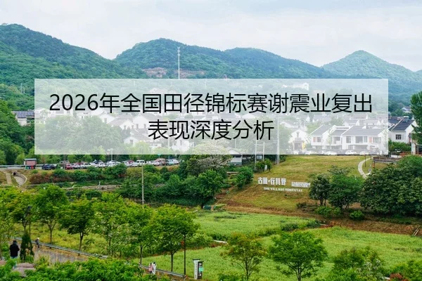 nian-quan-guo-tian-jing-jin-biao-sai-xie-zhen-ye-fu-chu-biao-xian-shen-du-fen-xi-2-255.jpg