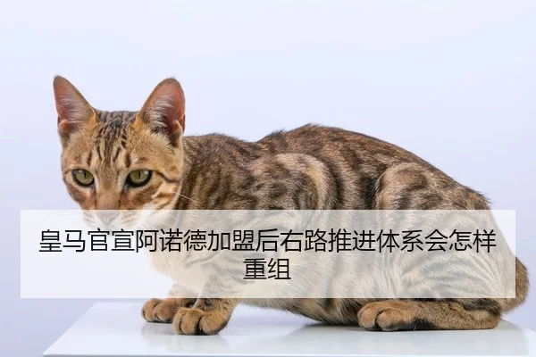 皇马官宣阿诺德加盟后右路推进体系会怎样重组