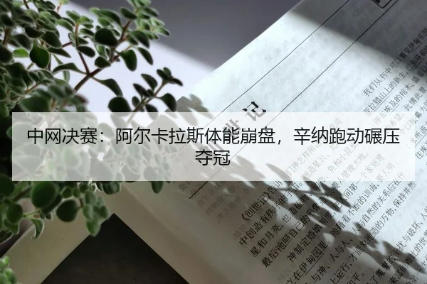 zhong-wang-jue-sai-a-er-ka-la-si-ti-neng-beng-pan-xin-na-pao-dong-nian-ya-duo-guan-2-418.jpg