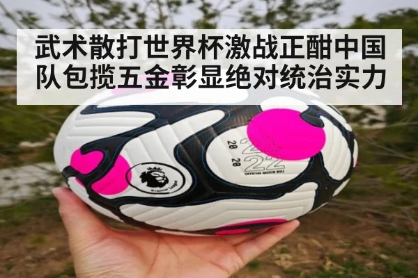 武术散打世界杯激战正酣中国队包揽五金彰显绝对统治实力